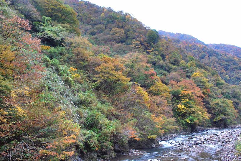 雲川