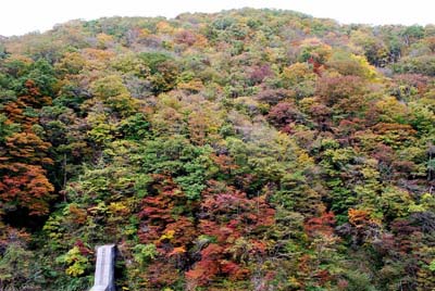 笹生川