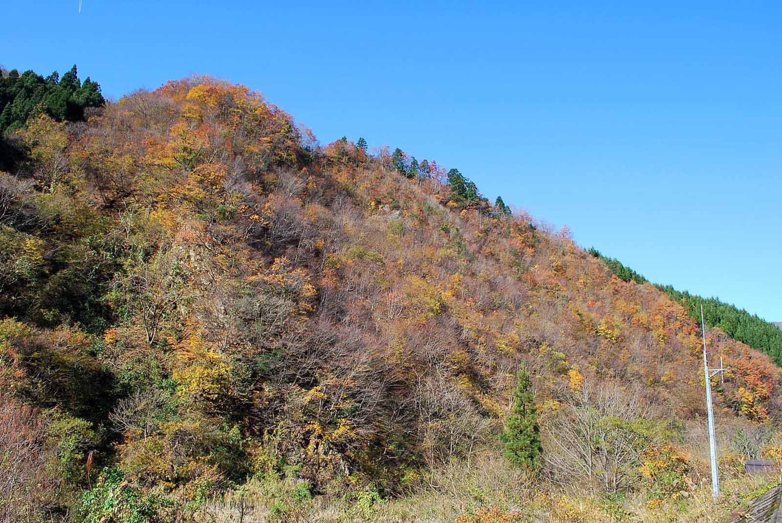 笹生川