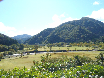 中島公園2