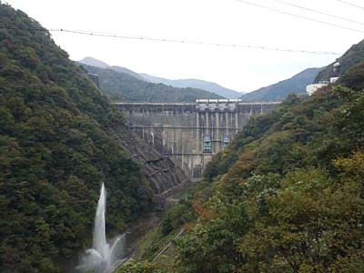 堤体 下流より