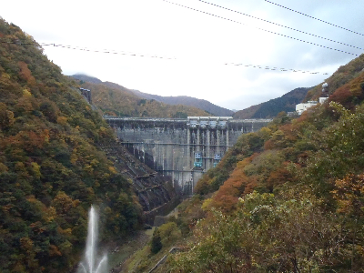 堤体 下流より