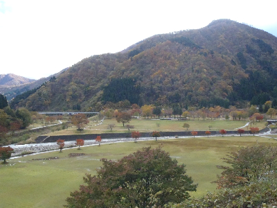中島公園1