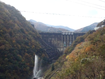 堤体 下流より