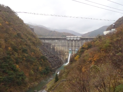 堤体 下流より