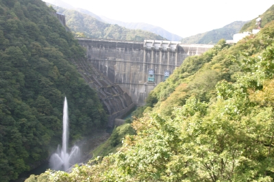 堤体 下流より