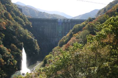 堤体 下流より