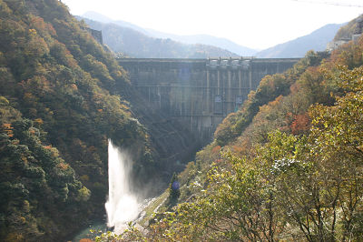 堤体 下流より