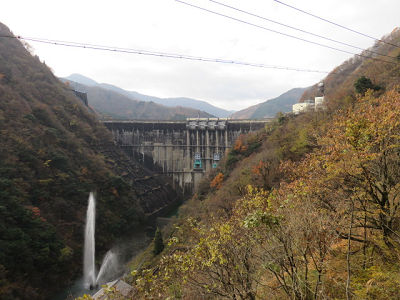 堤体 下流より