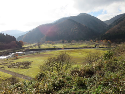 中島公園1