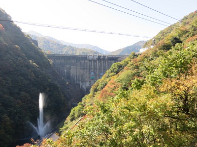 堤体 下流より