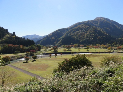 中島公園1