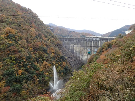 堤体 下流より