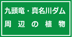 九頭竜ダム周辺の生き物