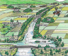 ����̘A�����̏C��