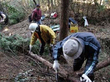 ���i�΁E���여�挗�t�H���X�g�l�b�g���[�N�̑g�D��