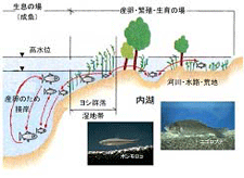 ���Ԍn�ƒ��a�������i�ΐ��ʕϓ��ւ̉��P