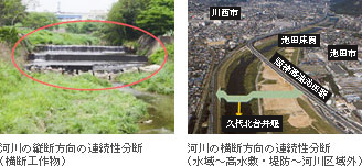 �͐�̏c�f�^���f�����̘A�������f