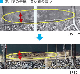 ����ł̊����A���V���̌���