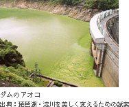 �_���̃A�I�R