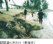 ���i�΂̕l����