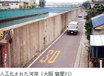 �l�H�����ꂽ�͊�