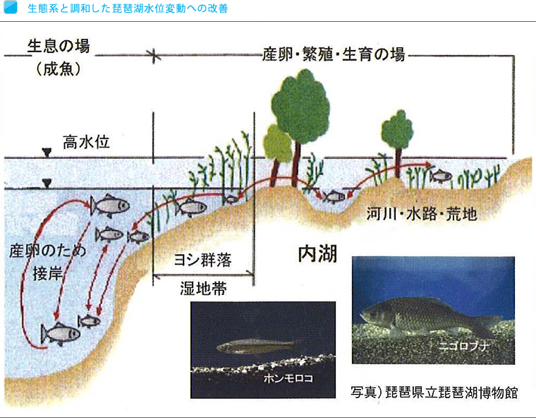 生態系と調和した琵琶湖水位変動への改善