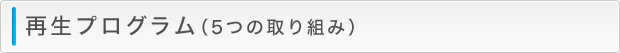 再生プログラム（5つの取り組み）