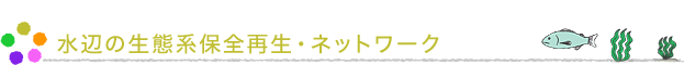 ӂ̐ԌnۑSĐElbg[N