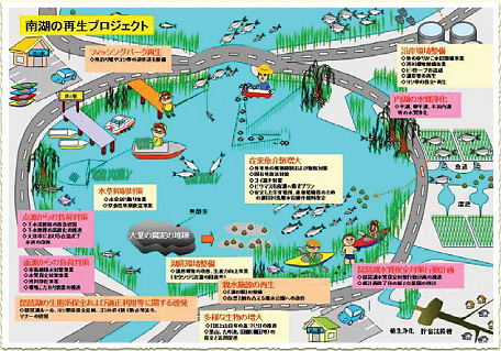 ソフト面の取り組み | 琵琶湖・淀川流域圏の再生