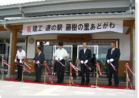 �I�[�v���̗l�q