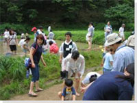 �����̗l�q