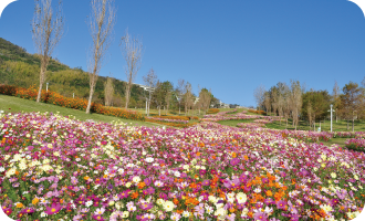 国営明石海峡公園