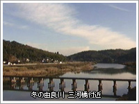 冬の由良川 三河橋付近