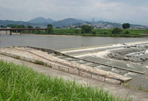 大和川　柏原堰堤魚道 