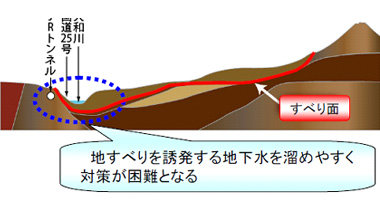 亀の瀬地すべりの特徴