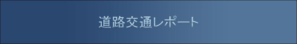 道路交通レポート