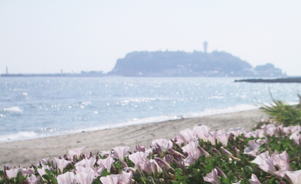 Shichirigahama Beach
