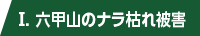 T.ZbR̃i͂Q