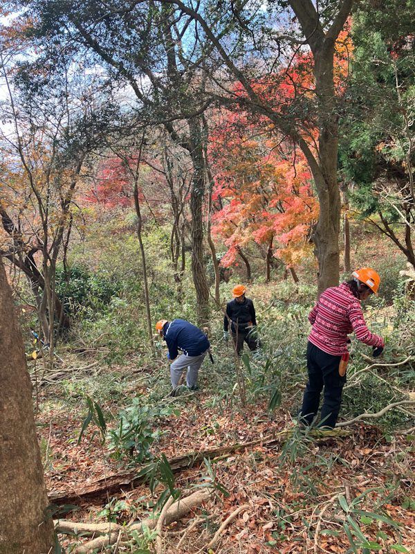 �����̗l�q(�ʐ^)