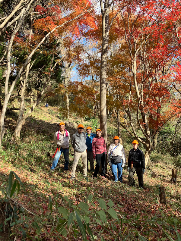 �����̗l�q(�ʐ^)