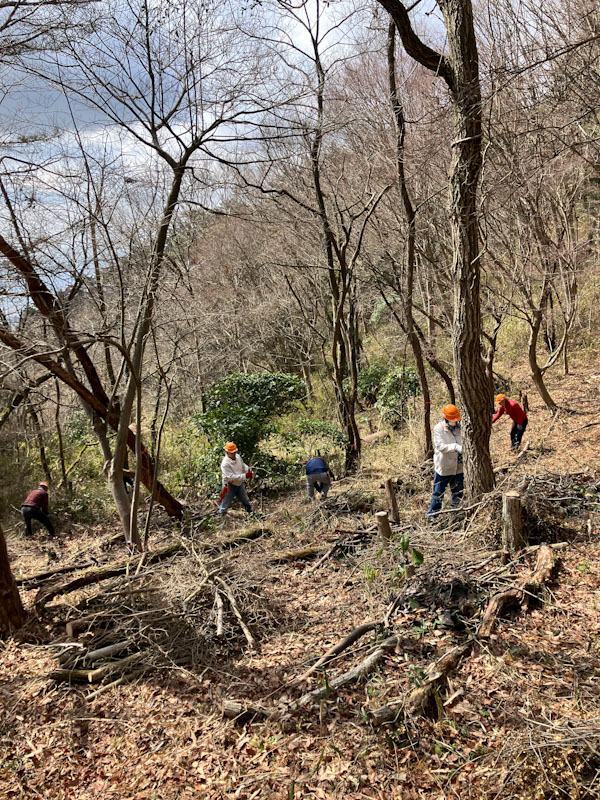 �����̗l�q(�ʐ^)