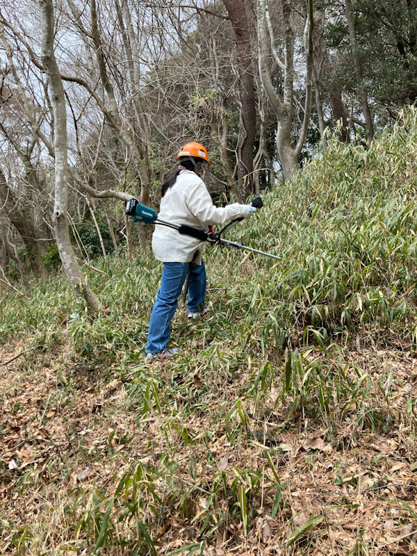 �����̗l�q(�ʐ^)