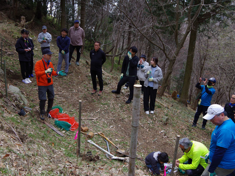 �����̗l�q(�ʐ^)