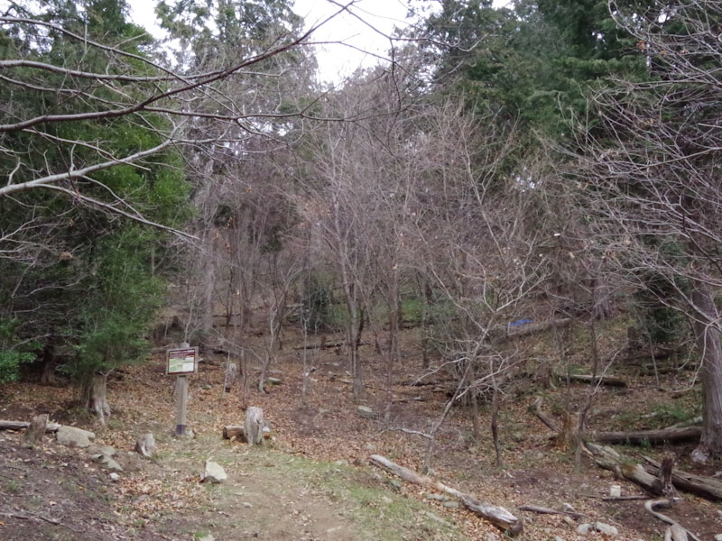 �����̗l�q(�ʐ^)