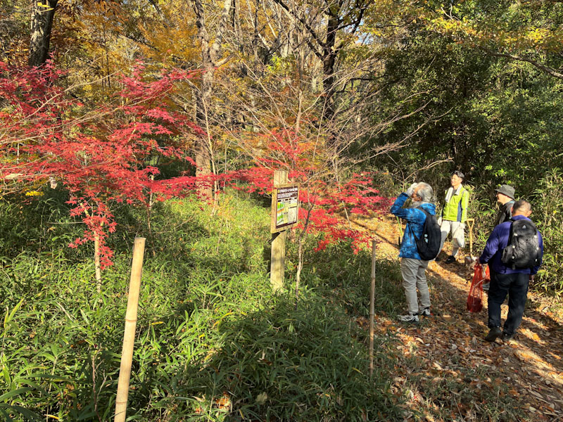 �����̗l�q(�ʐ^)