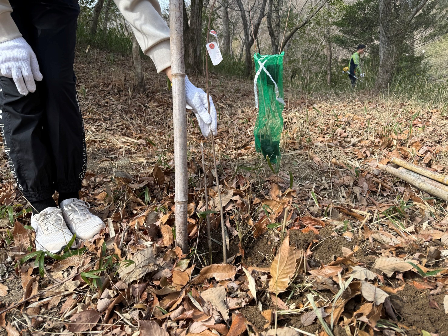 �����̗l�q(�ʐ^)