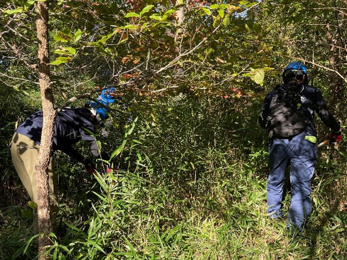 �����̗l�q(�ʐ^)