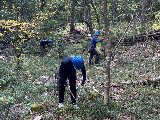 �����̗l�q(�ʐ^)