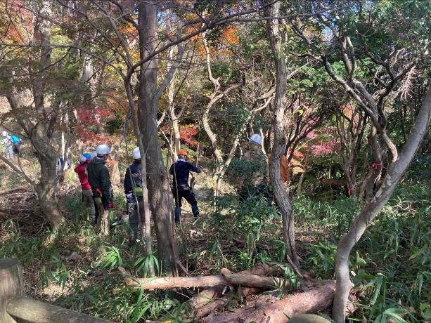 �����̗l�q(�ʐ^)